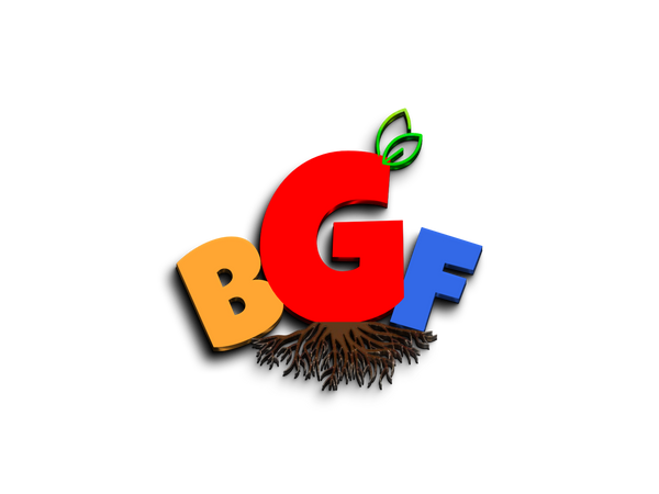 BGF STORE